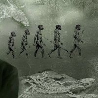 Теорията на Дарвин – доказателство и опровержение на теорията за произхода на човека